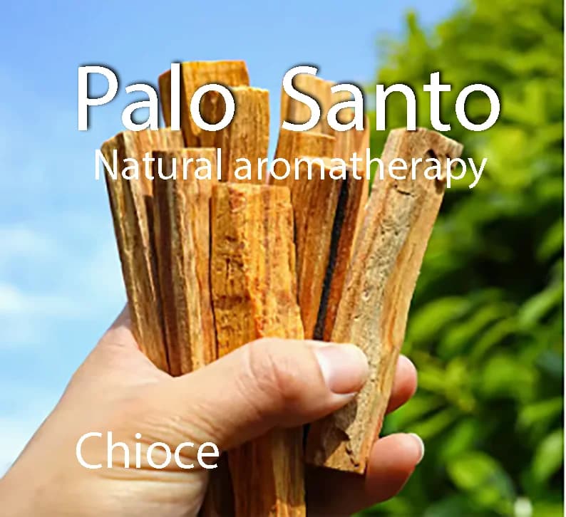 Palo Santo Bastoncini di incenso naturale ad alto contenuto di olio per aromaterapia interna Rinfrescante per la meditazione dell'alito 10 pezzi