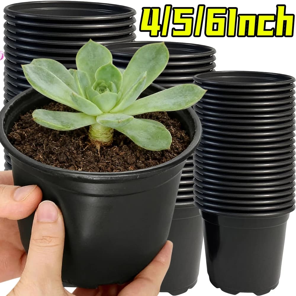 Plastic Vases for Plants and Flowers from 4/5/6 Inches, Containers for Cultivation and Seed with Draining Holes for Plants and Steaks transplantation