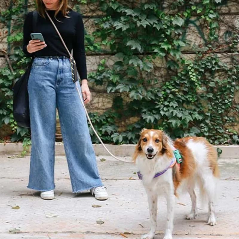 Guinzaglio per cani catena P guinzaglio per cani a mani libere guinzagli riflettenti per cani corda di trazione a piedi cani Walker Running Jogging Pet Chain