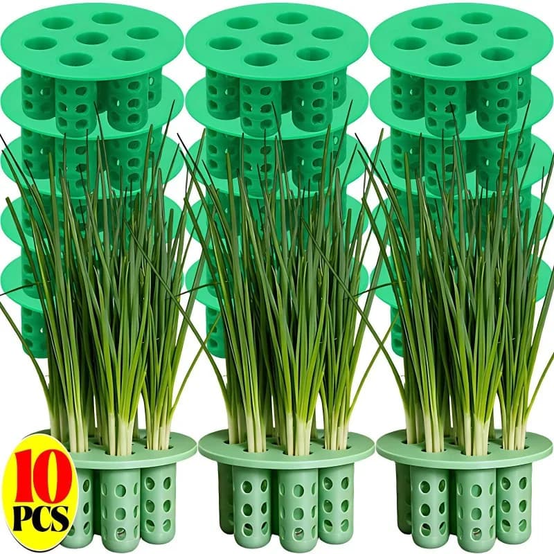 10/1 Pieces 3D Printed Seed Tray, Small Base Vase for Plants, Flower and Vegetable Cultivation Tool, Semi Tray for Home Gardening