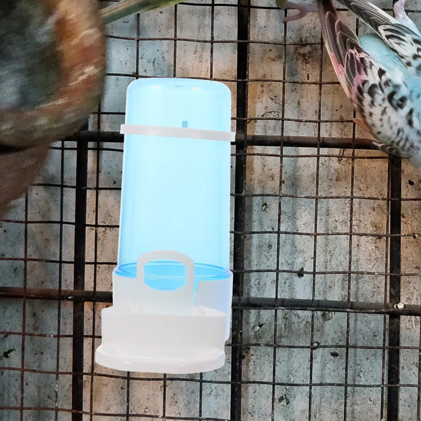 2 Pezzi Abbeveratoi Automatici per Polli da Fattoria e Animali Domestici, Ciotole Affidabili per Acqua e Cibo