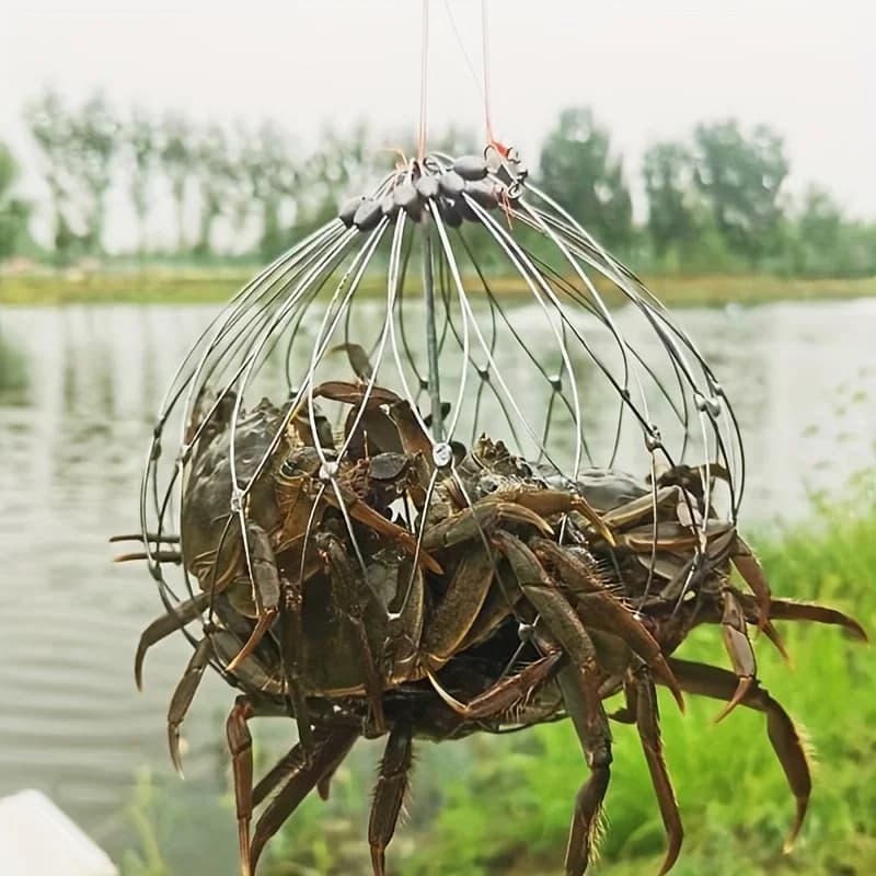 2 reti automatiche per la pesca dei granchi con strumenti di cattura integrati per una raccolta di frutti di mare facile ed efficiente