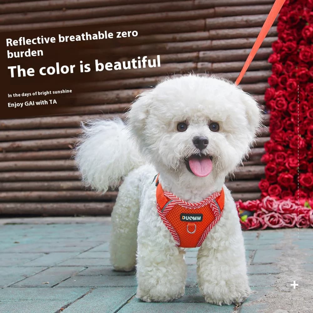 Nuovo gilet imbracatura per cani riflettente traspirante Facile da indossare Comodo imbracatura per animali domestici regolabile per cani di piccola taglia media