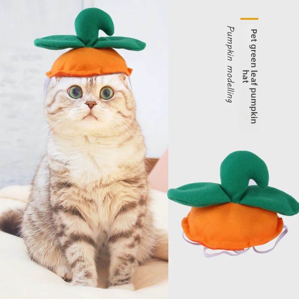 Pet headdress cat funny headdress dog cat halloween hat pumpkin hood ghost headdress dress up