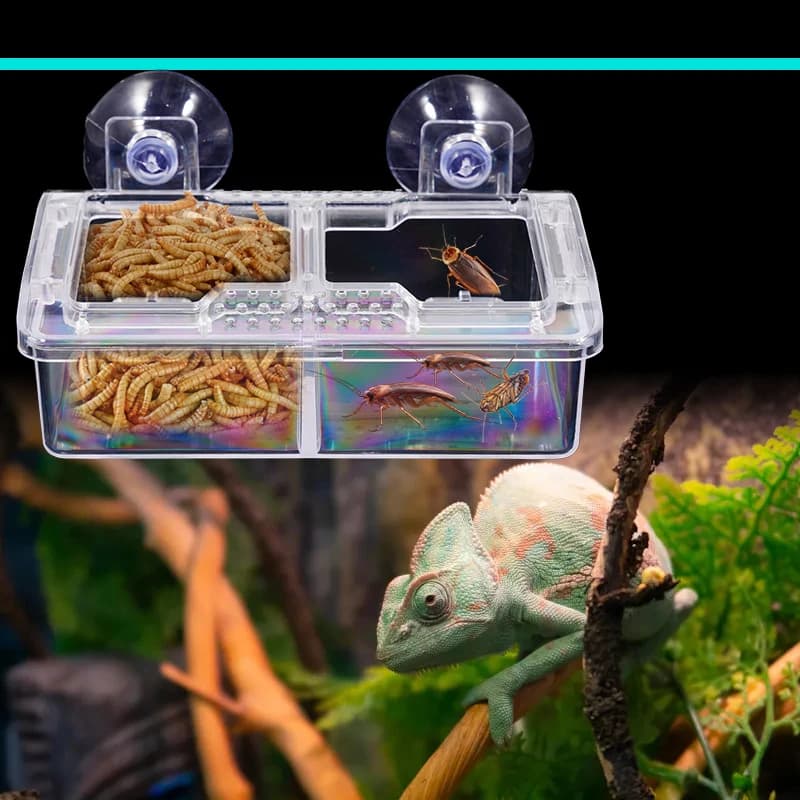 Ciotola in ceramica per acqua e cibo per rettili, con ventosa anti-fuga, per vermi, luccioli, lucertole e drago barbuto