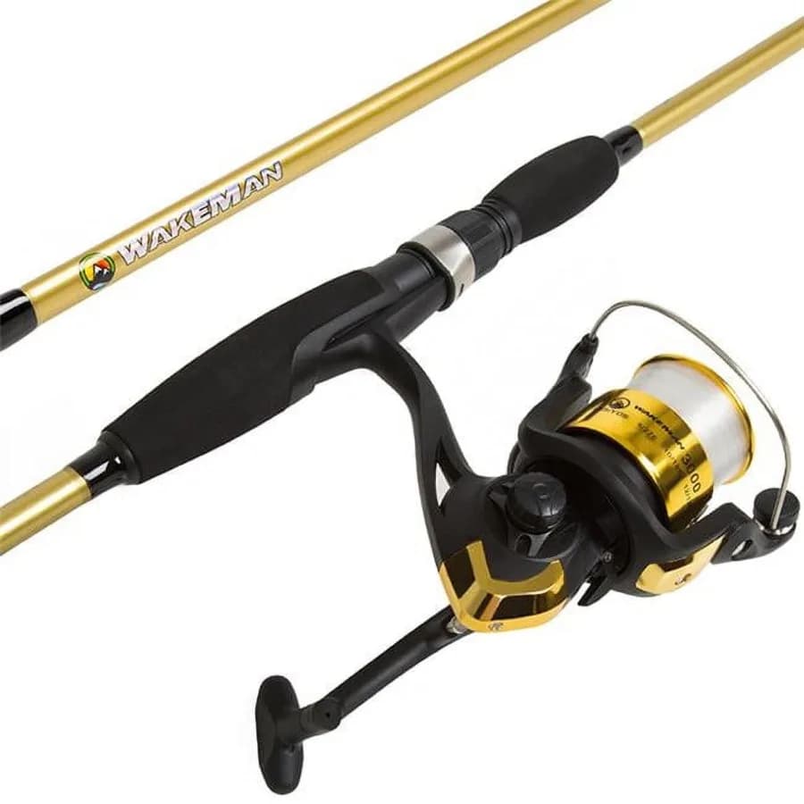 Set Canna da Pesca e Mulinello, Mulinello Spinning, Attrezzatura da Pesca per Bass e Trota, Colore Oro Serie di Attrezzature per la Pesca in Lago