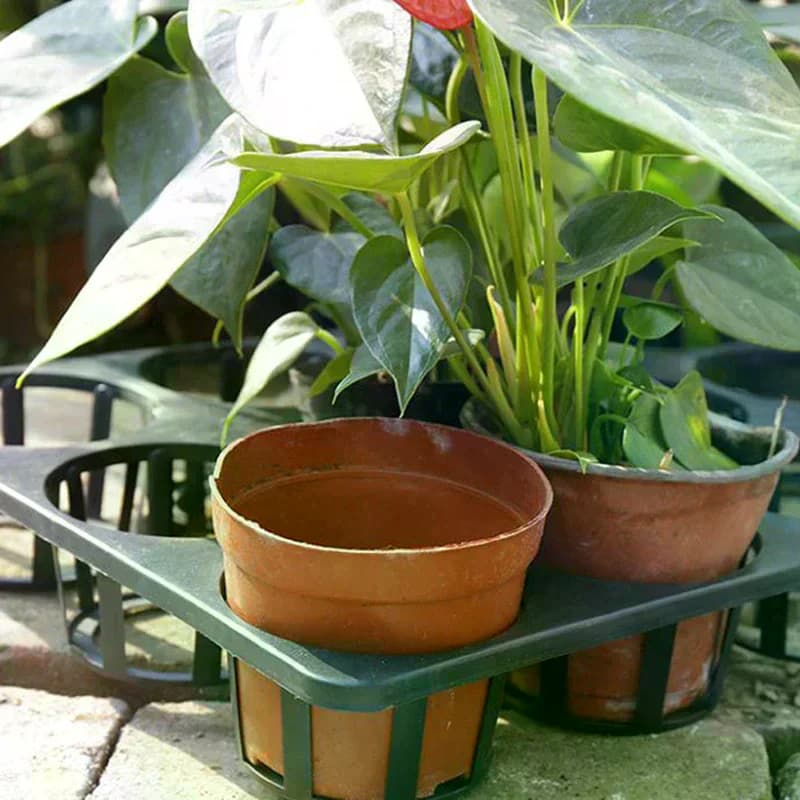 Vasi per Piante, Vasi in Plastica Rotondi, Vassoio per Semina, Contenitore per Piantine