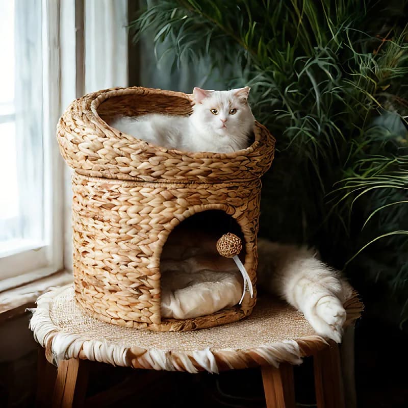Cuccia per Gatti in Rattan Naturale a Due Piani, Resistente ai Graffi, Casetta in Vimini per Gatti e Cani di Piccola Taglia