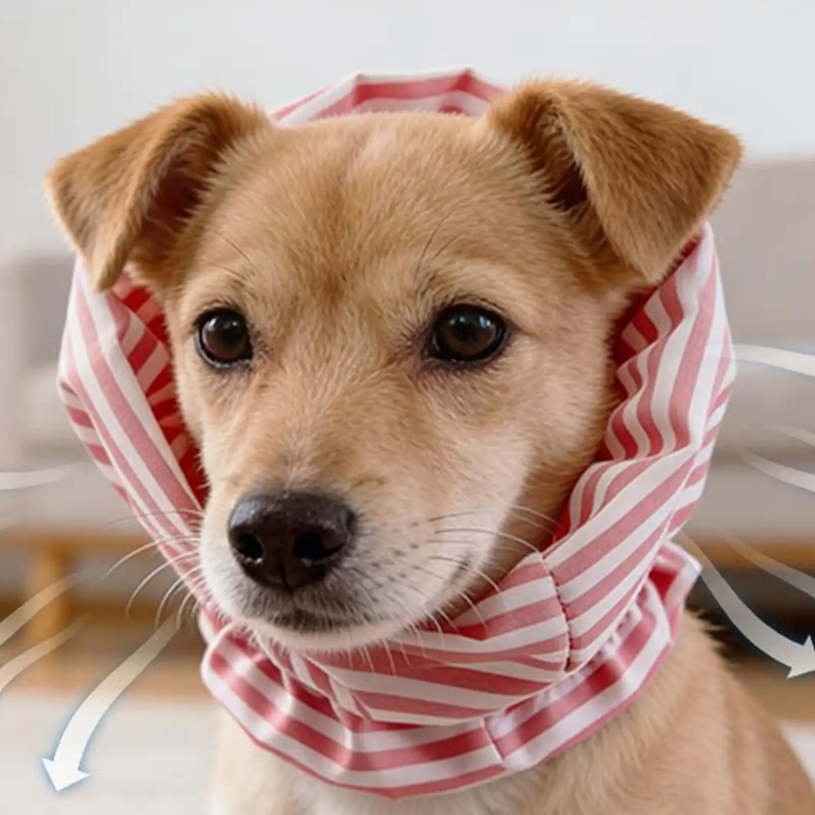 Paraorecchie Multifunzionali per Cani, Antivento, Antirumore, Fascia per Cuccioli, Sciarpa Comoda per Animali Domestici, Protezione Collo Gatto
