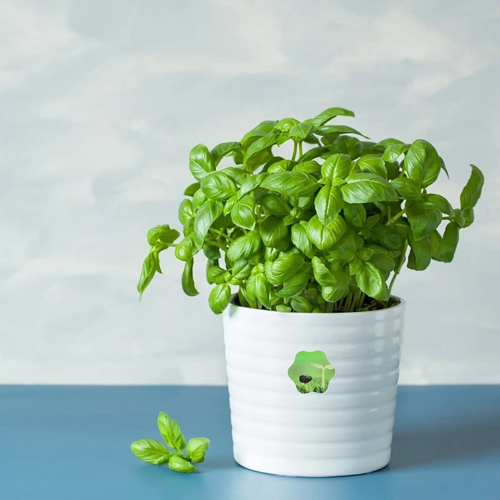 10 Fogli di Etichette Intelligenti per Piante Idroponiche, Adesivi a Forma di Fiore in PVC Autoadesivi per Vasi Idroponici
