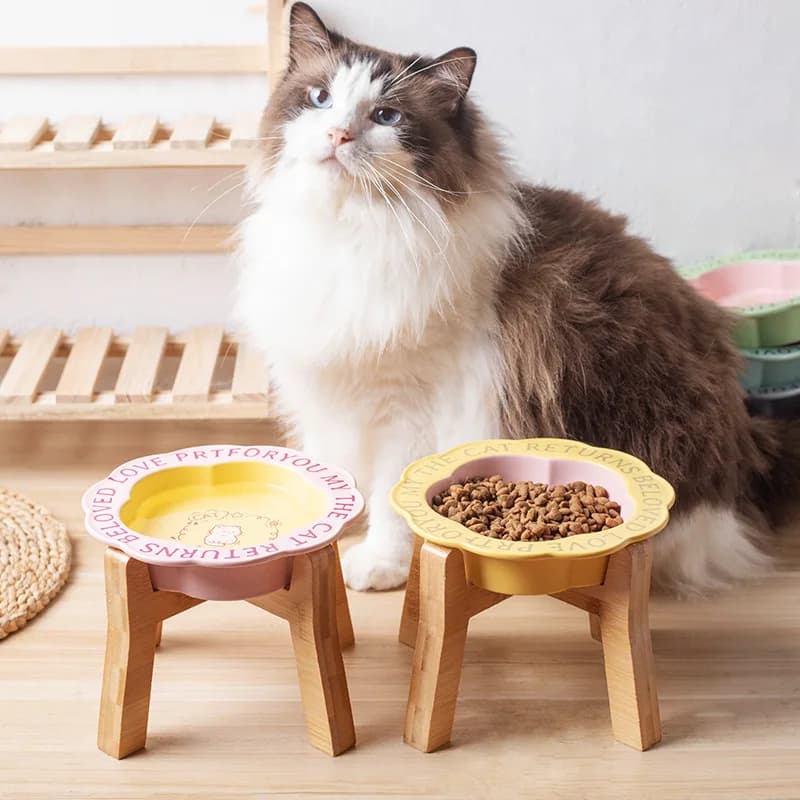 Ciotola in Ceramica per Gatti con Supporto in Legno, Anti-Imbottigliamento, Ciotola Anti-Ribaltamento per Acqua, Ciotola in Ceramica per Cibo per Cani, Accessori per Animali Domestici