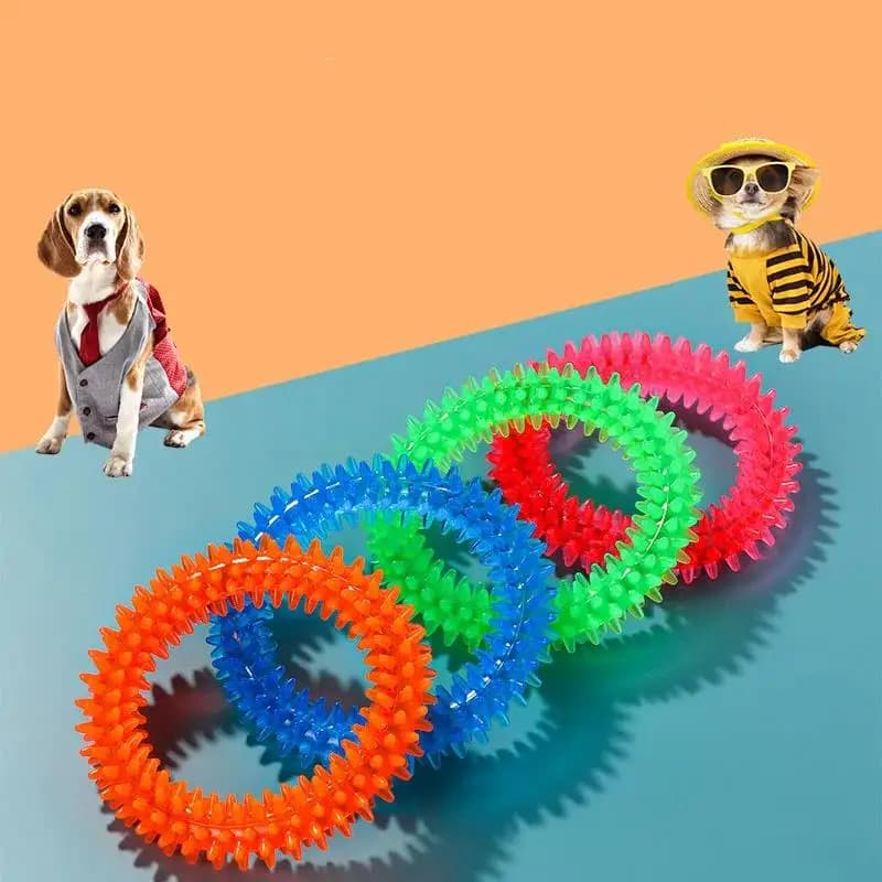 Morso molare giocattolo per cani giocattoli Giocattoli da masticare per cuccioli Giocattolo per morsi per cani Denti morso giocattolo per cani Giocattolo da masticare per animali domestici trasparente Masticare dentali per cani
