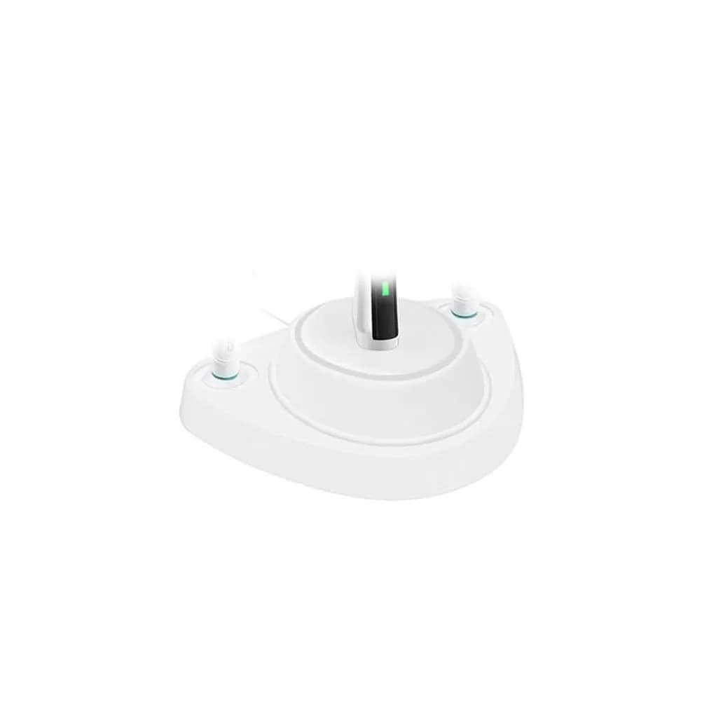 Plastic Electric Toothbrush Holder Stand Base with Two Head Covers for Charger Storage and Dust Protection