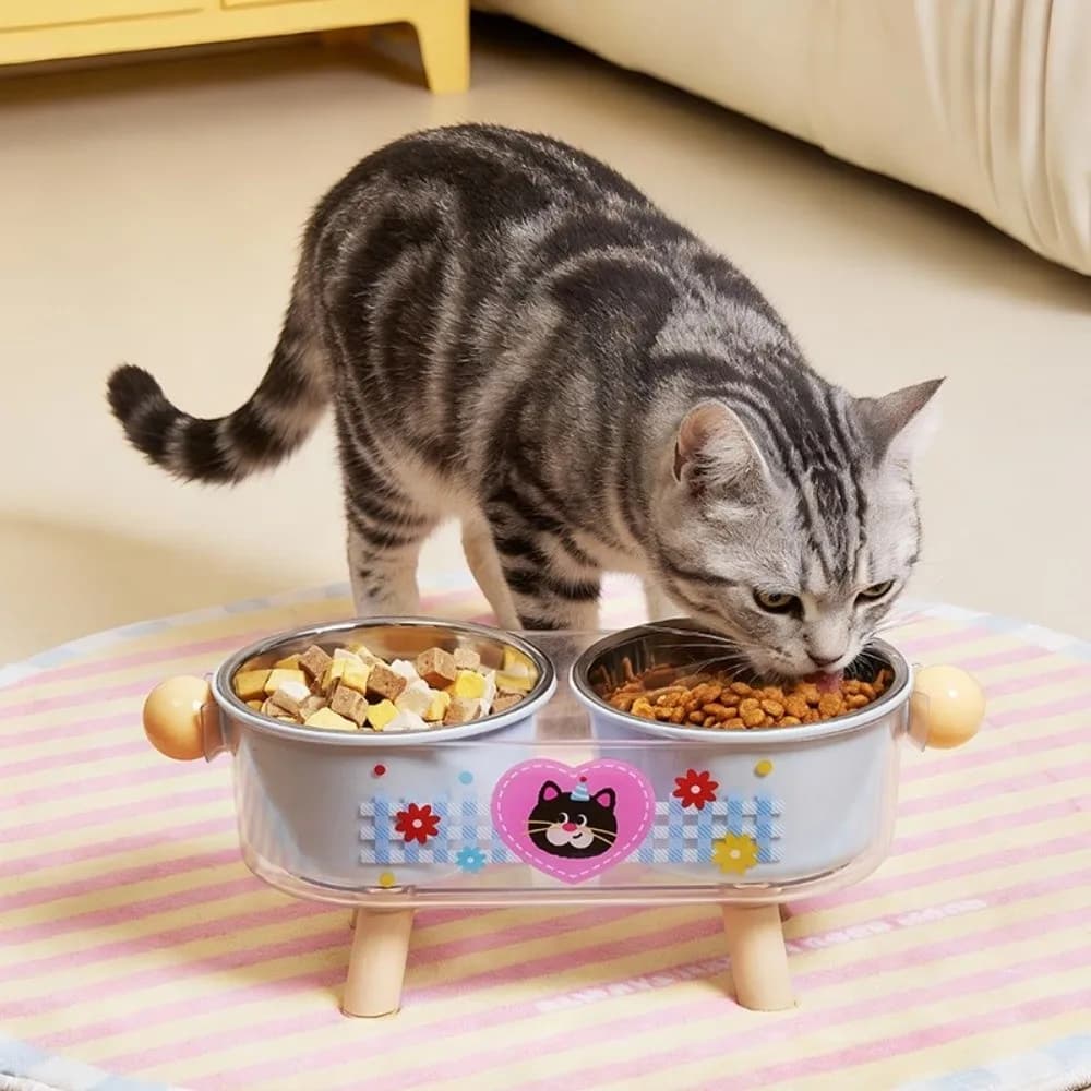 Anti-leak Stainless Steel Elevated Cat Bowl Non-Slip Anti-Tipping Cat Water Bowl Cute Cartoon Pet Food Bowl for Drinking Feeding