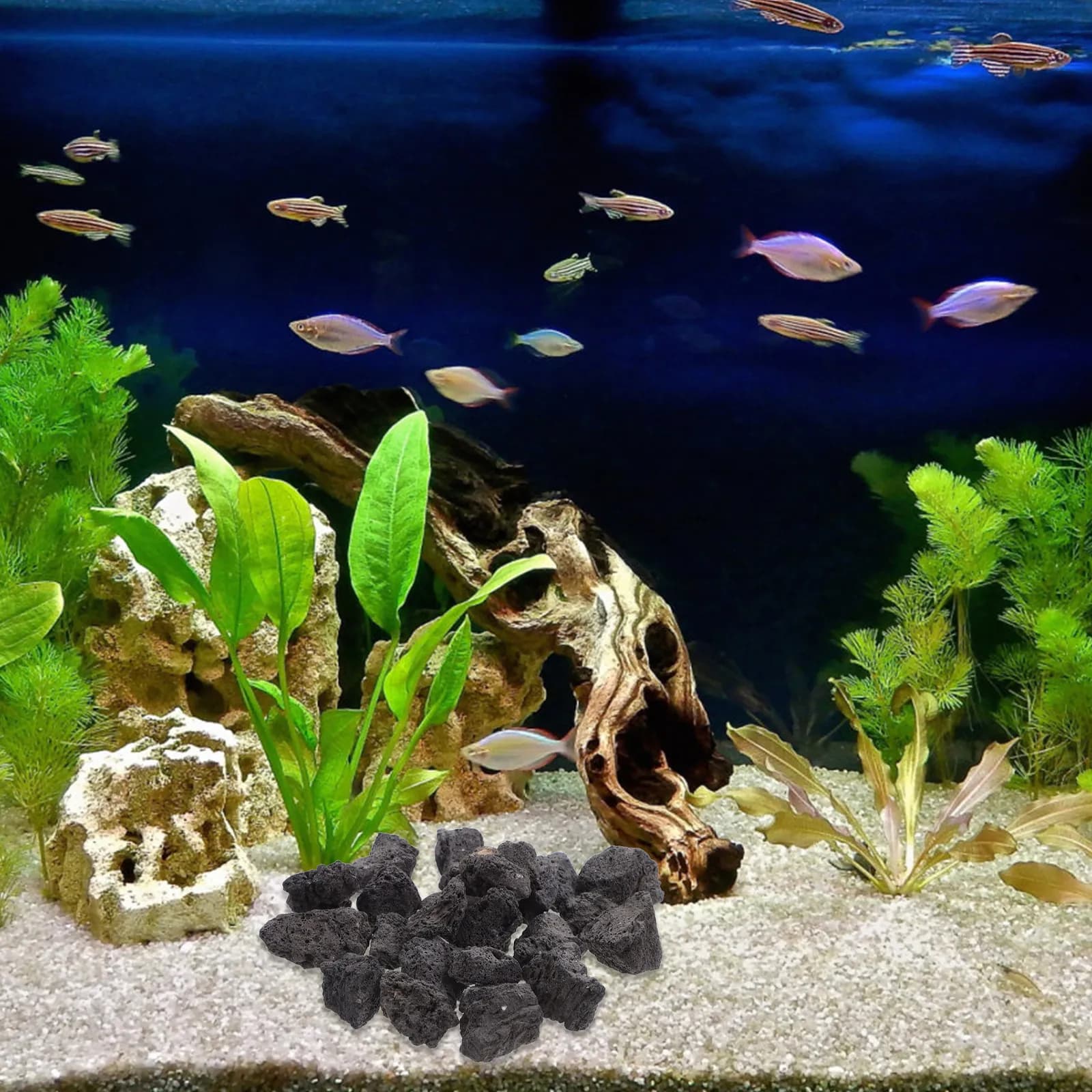 Confezione da 1 pietra vulcanica naturale per decorazione acquario, piante in vaso, paesaggistica e adsorbimento.