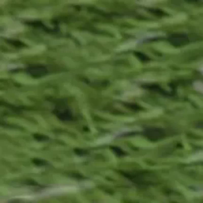 Strumenti per la raccolta delle palline da golf Raccoglitore telescopico per palline da golf Raccoglitore per palline da golf Ausili per l'allenamento del golf Raccoglitore per palette con bloccaggio automatico