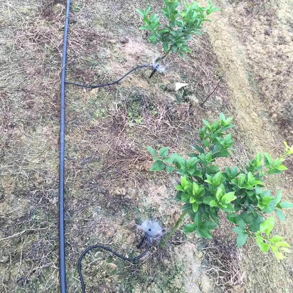 Sistema di irrigazione automatico a goccia per giardino, irrigatore per prato, irrigatore a goccia per fiori, irrigatore domestico per interni, bottiglia per annaffiare.