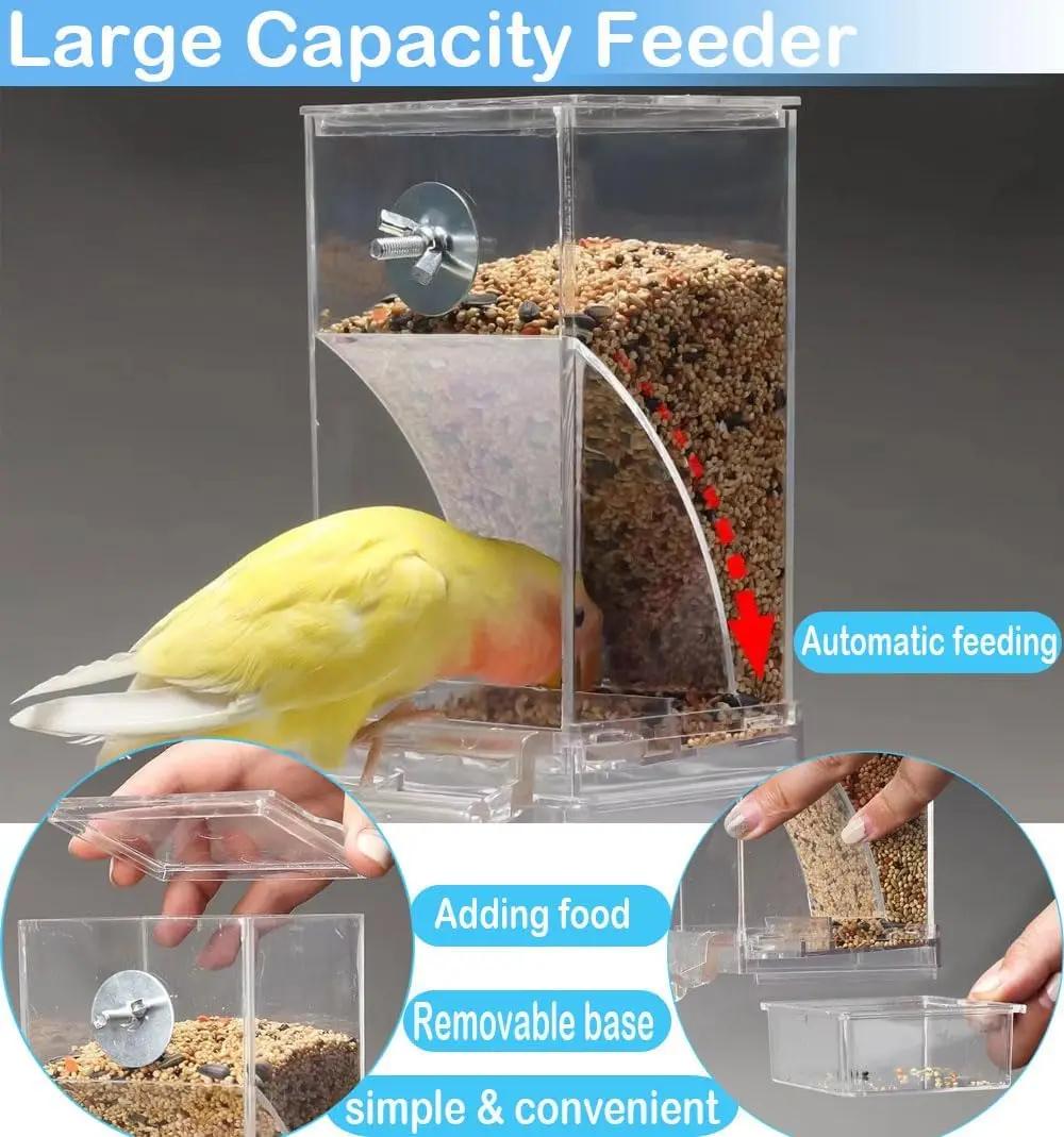 Automatic Eating Machine for Birds Without Disorder, Transparent Food Container, Accessories for Parrots and Small Birds