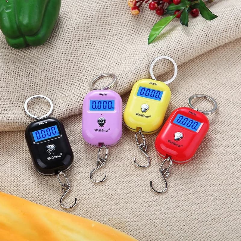Bilancia Digitale Mini da 25Kg x 10g, Carina e Portatile, con Gancio per Pesare Bagagli da Viaggio, Pesca e Uso in Cucina