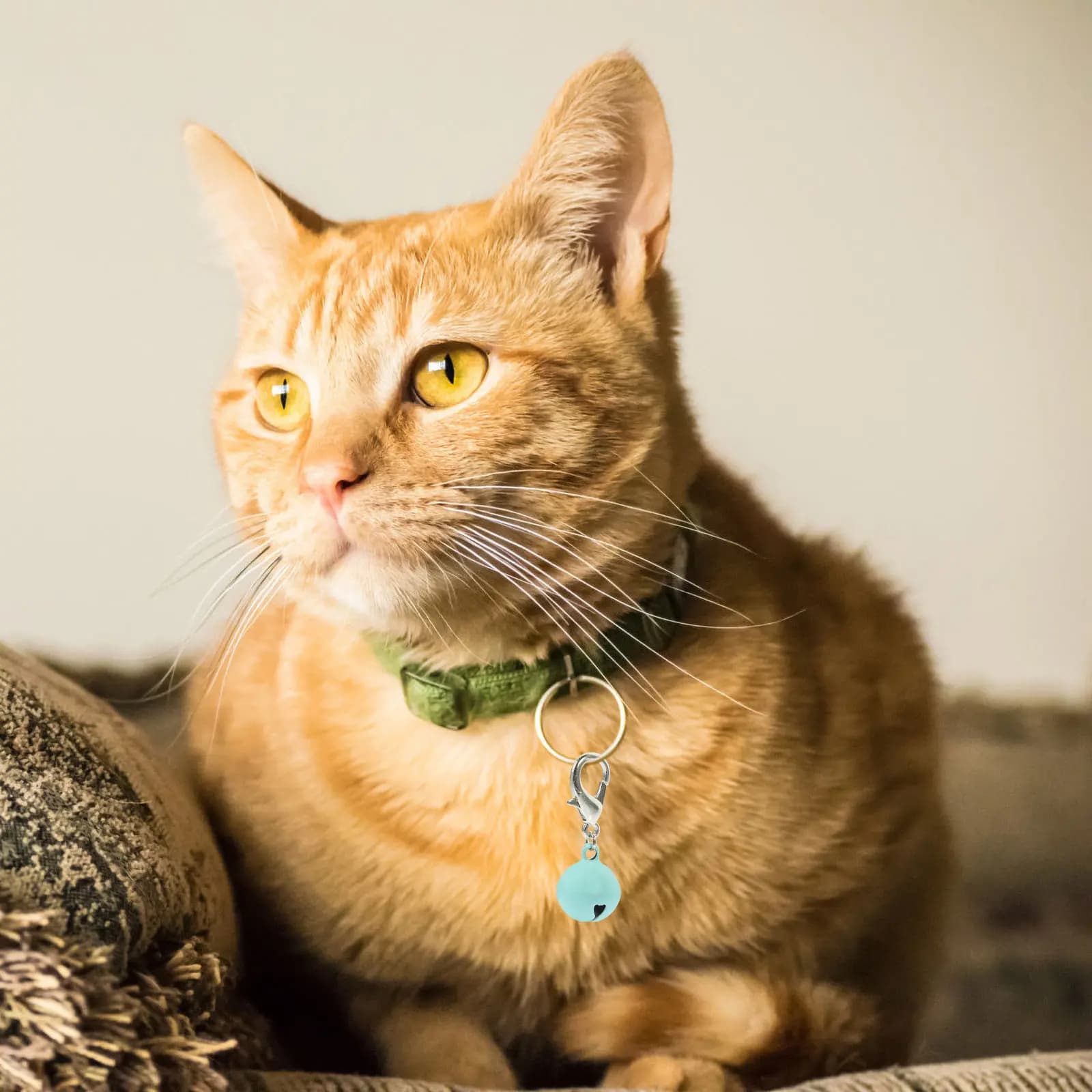 10 Pezzi Campanelli per Collare di Animali Domestici, Accessori Sonori Efficaci per la Sicurezza di Cani e Gatti