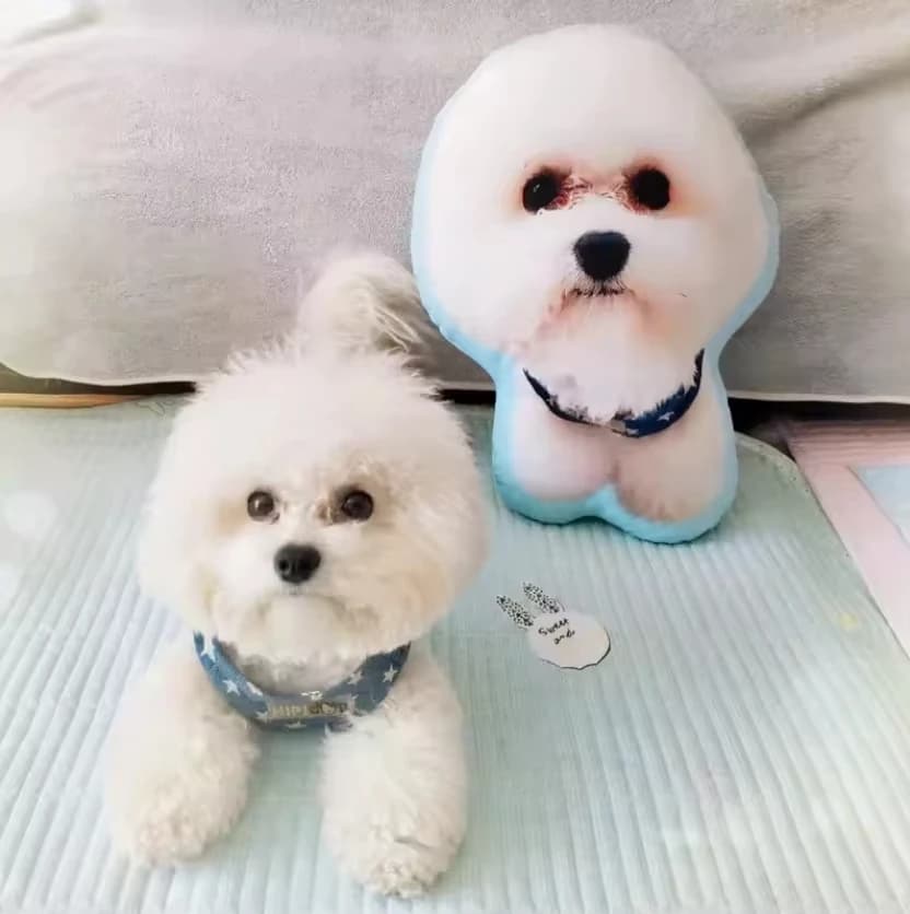 Cuscino per cuscino personalizzato con foto di San Valentino Foto personalizzata Cuscino umanoide fai da te Cuscino per animali domestici Divano Decorazione per auto Viaggi