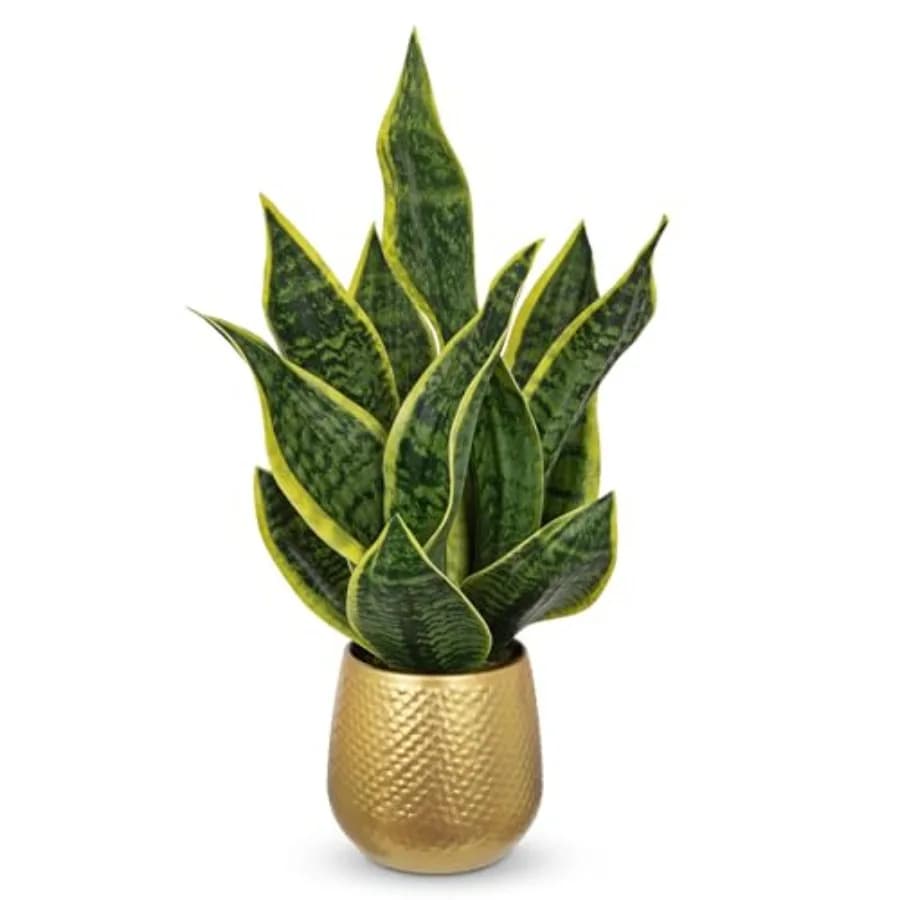 Pianta di Serpente Artificiale in Vaso Dorato 18 cm, Finta Sansevieria in Vaso per Arredamento Casa Ufficio, Piante di Serpente Finte Laurentii da Interno