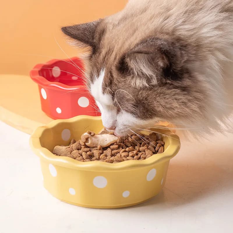 Ciotola in Ceramica per Cani e Gatti, Contenitore per Cibo e Acqua, Accessori per l'Alimentazione degli Animali Domestici
