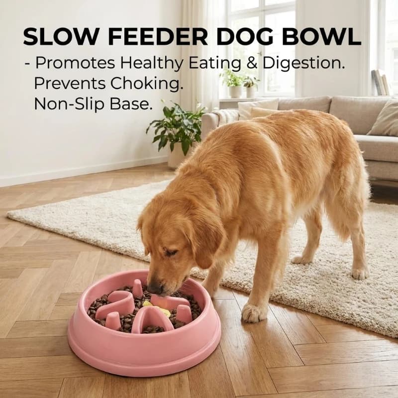Ciotola Anti-ingozzamento per Cani, Ciotola Lenta per Cuccioli, Ciotola Robusta per Cani a Lenta Alimentazione, Ciotole Puzzle per Cani di Piccola e Media Taglia