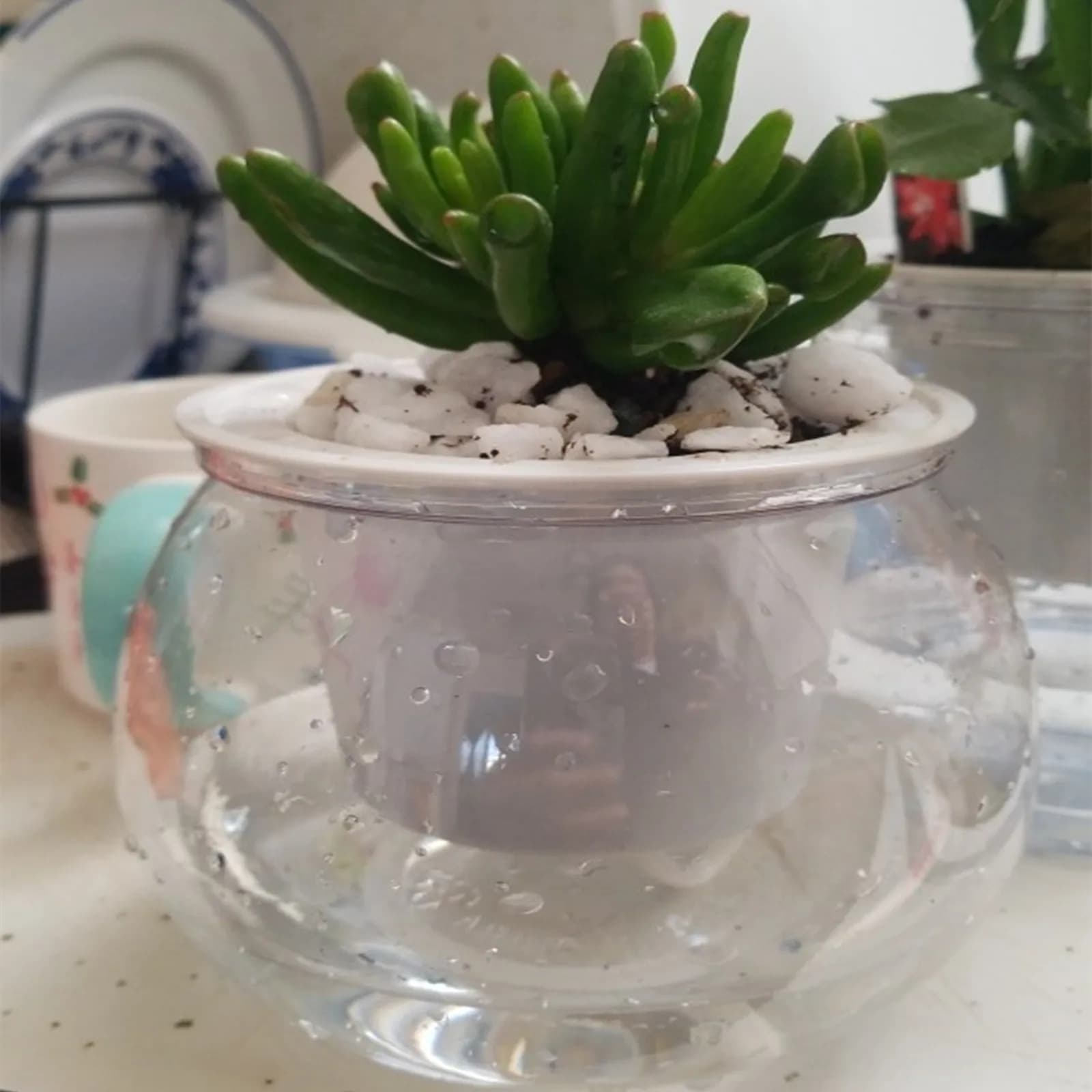 Vasi per fioriera autoirriganti Mini vaso da fiori vaso per piante succulente per interni serbatoio di pesce vaso da fiori da tavolo per la casa decorazioni per Bonsai
