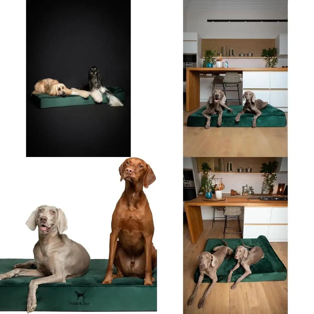 Letto per cani ortopedico XXL 55x45x9,5 - Memory Foam con infusione di gel, impermeabile, lavabile, copertura interna in velluto