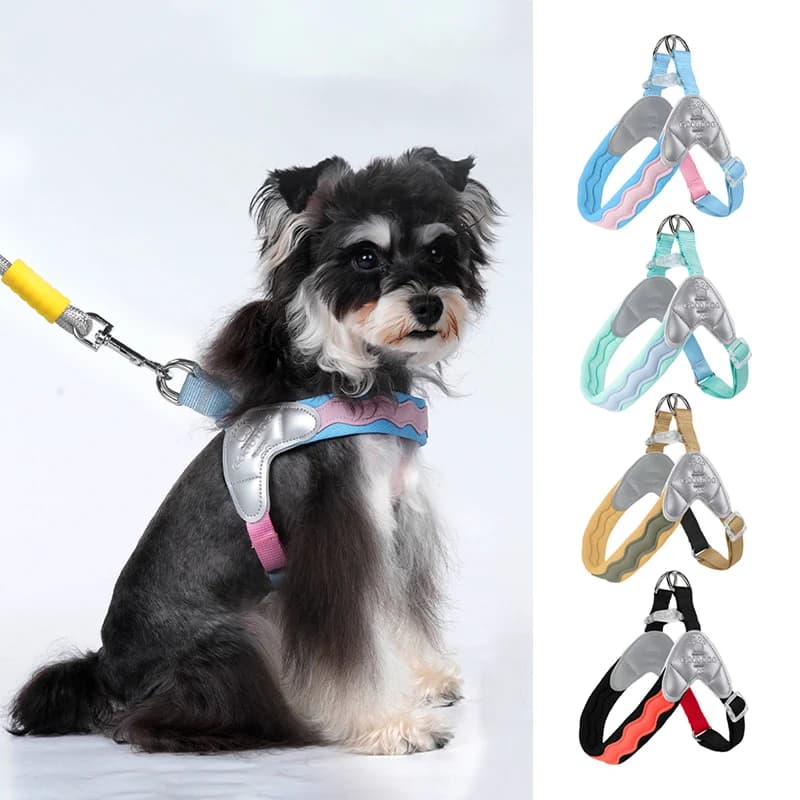 Pettorina per Cani alla Moda e Traspirante con Imbottitura Morbida, Anti-fuga, Resistente e Regolabile a Forma di Y per Passeggiate Confortevoli