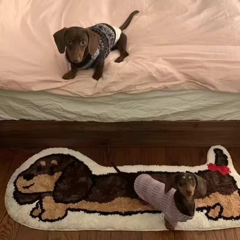 VIKAMA Tappeto da comodino per camera da letto a forma di cane carino Tappeto da soggiorno Tappeto soffice e morbido Tappeto antiscivolo Zerbino Decorazione della casa