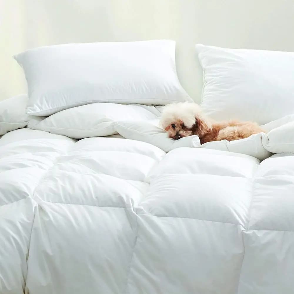 Ultra-Soft Cotton Duvet Cover | Pillowcase Set | Cloud-Like Comfort | 100% Cotton Percale | Premium European Linens | Hypoallerg