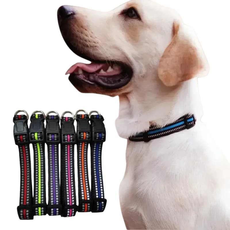 Collare Riflettente Multicolore per Cani e Gatti, Collare Regolabile in Nylon per Animali Domestici, Accessori Opzionali per Cani, Prodotti per Animali