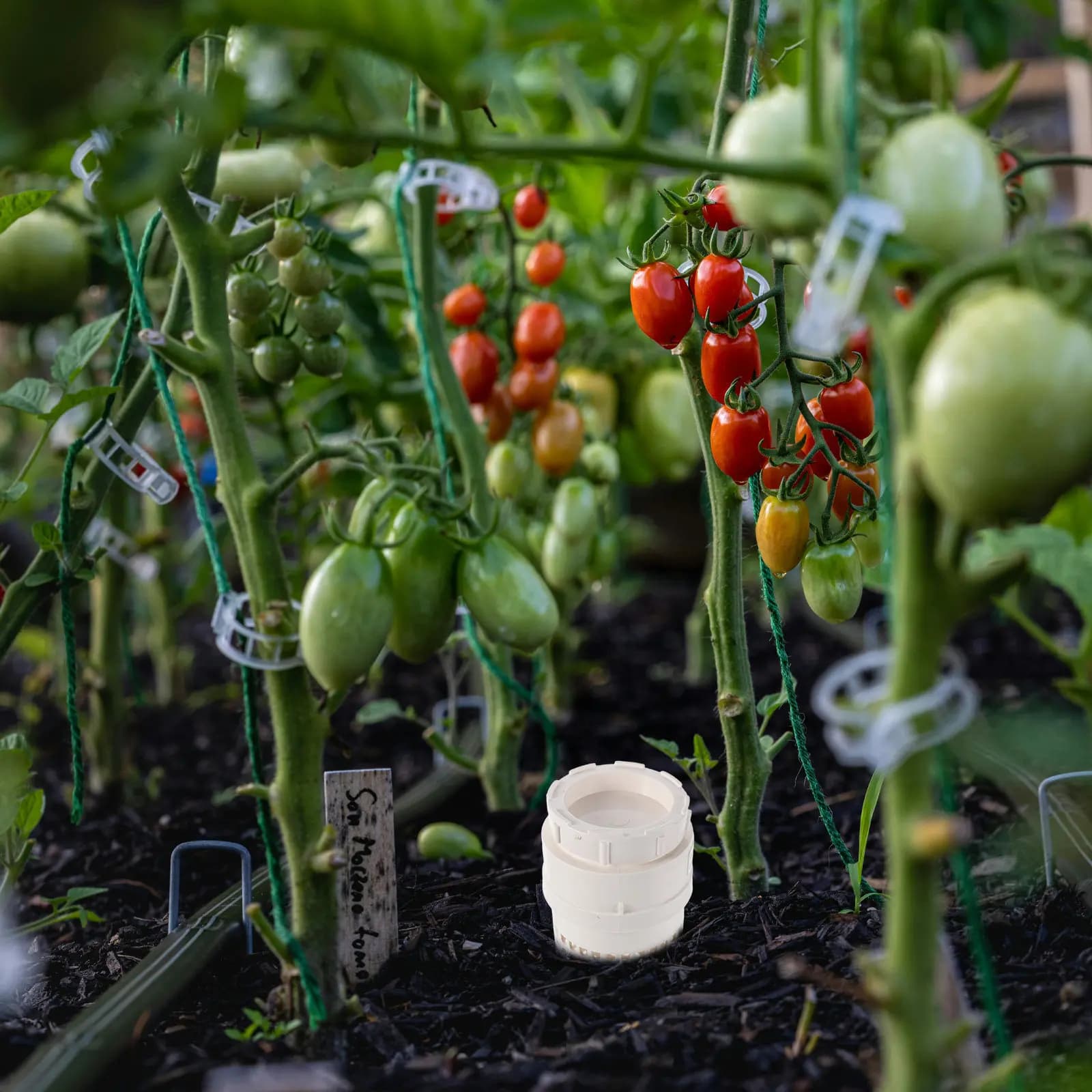 Contenitore per Compostaggio Sotterraneo in Plastica, Bidone per Lombrichi, Scatola per Compostaggio Interrata, Riciclo di Scarti Alimentari da Cucina, Compostiera da Giardino per Esterni
