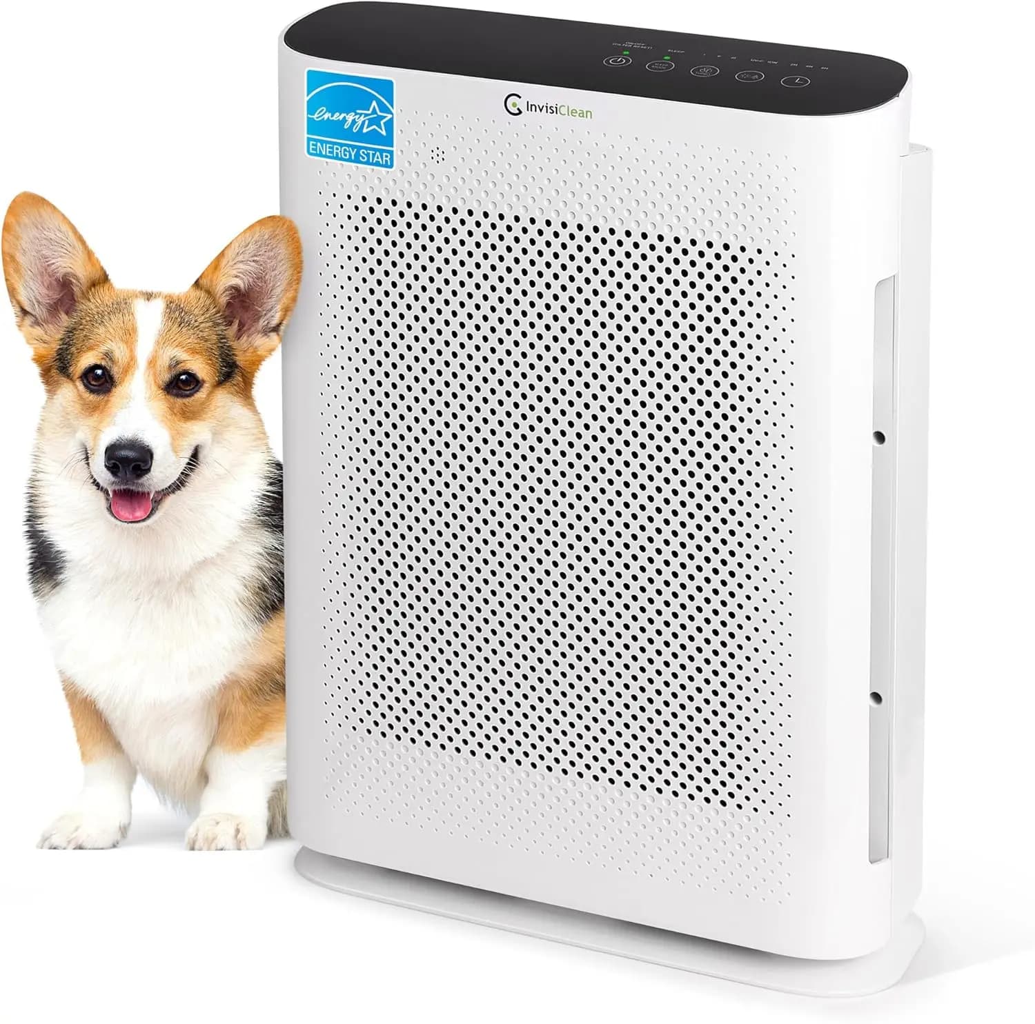 Purificatore d'Aria 4-in-1 H13 True HEPA con Ionizzatore, Luce UV e Filtro al Carbone per Grandi Ambienti, Allergie ai Animali Domestici, Rimozione di Fumo e Odori