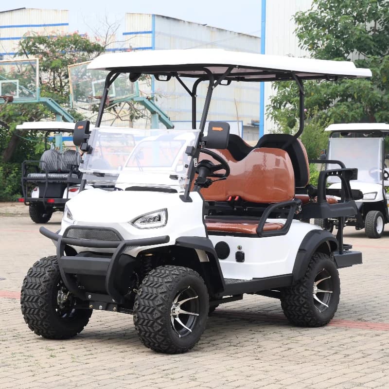 Carrello da Golf Elettrico Professionale Cinese a 2 Posti e 4 Ruote, Mini Golf Cart Economico in Vendita