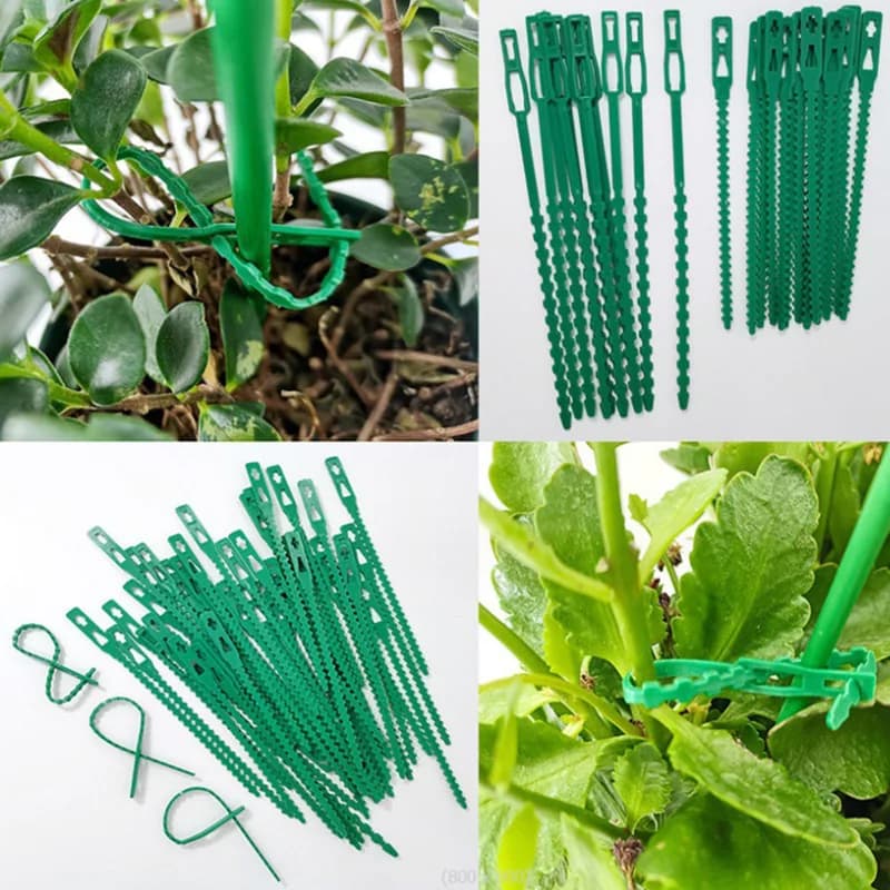 50 Pezzi Fascette Regolabili in Plastica Riutilizzabili per Piante, Supporto per Alberi da Giardino, Rampicanti, Tomate e Clip per Steli