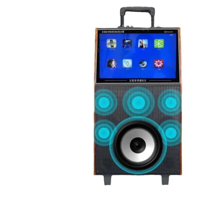 Macchina Karaoke Mobile All-in-One con Schermo Display, Altoparlante Portatile per Danza di Gruppo, Lettore Video Karaoke 218V