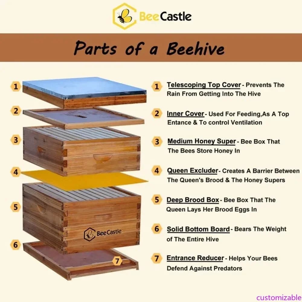 Complete Arnia kit at 10 Telai, 100% coated in Bee Cera, Includes Beekeeping and Founding Sheet Covered in Bee Cera (2 Roads)