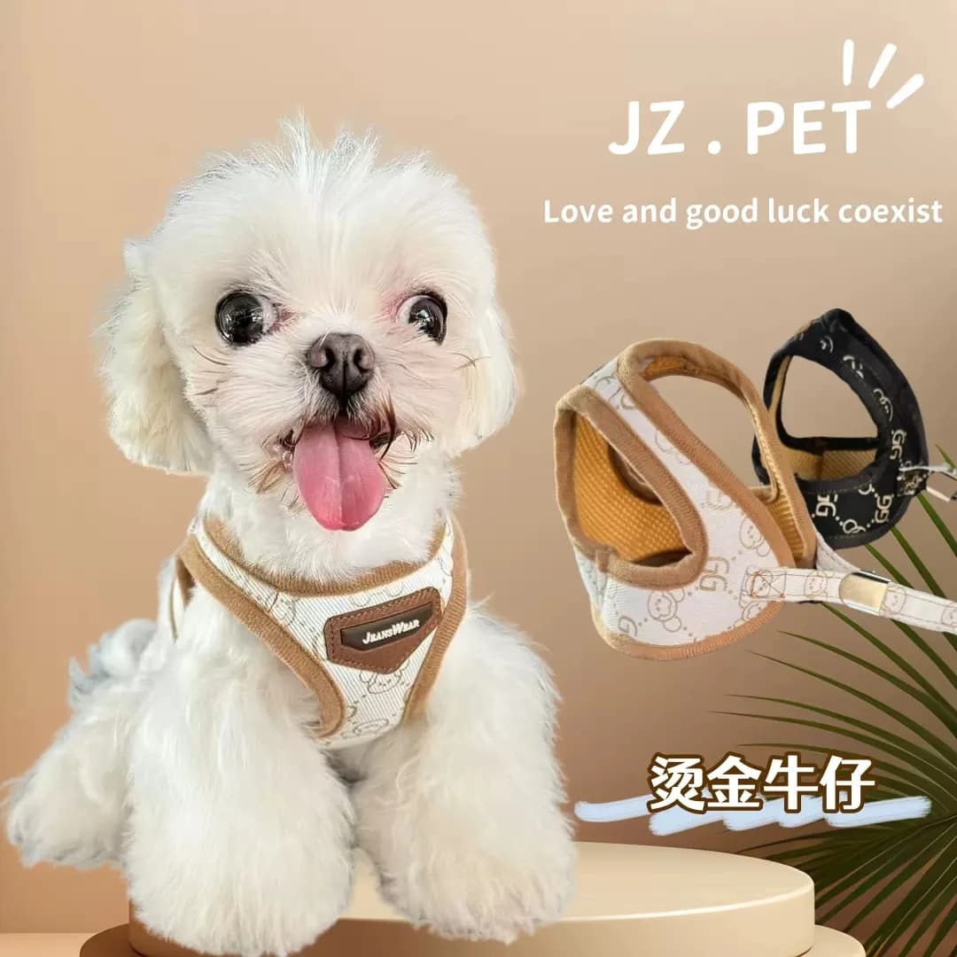 Set Guinzaglio e Pettorina Nera/Kaki di Lusso per Cani, Collare e Guinzaglio da Passeggio per Cuccioli, Schnauzer, Chihuahua