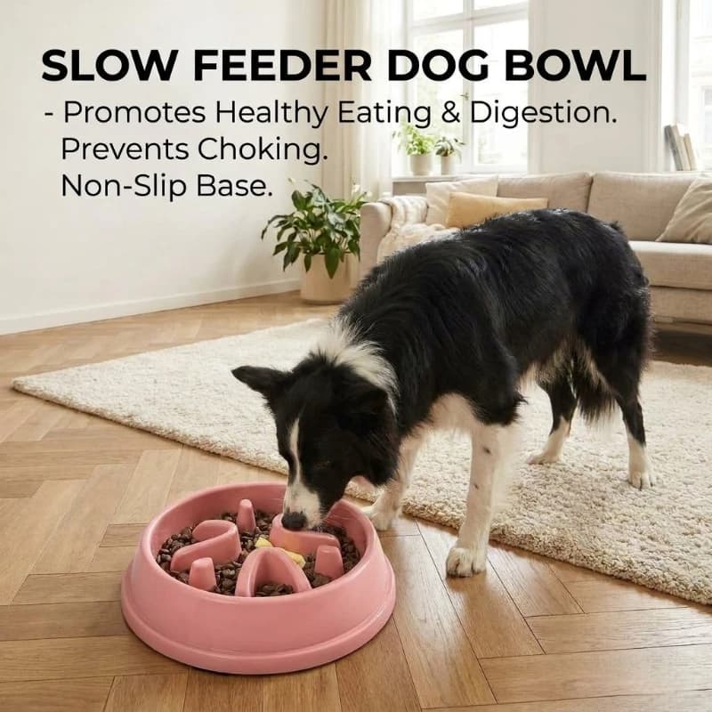 Ciotola Anti-ingozzamento per Cani, Ciotola Lenta per Alimenti per Cuccioli, Ciotole Robuste per Cani a Lenta Alimentazione, Ciotole Puzzle per Cani di Piccola e Media Taglia