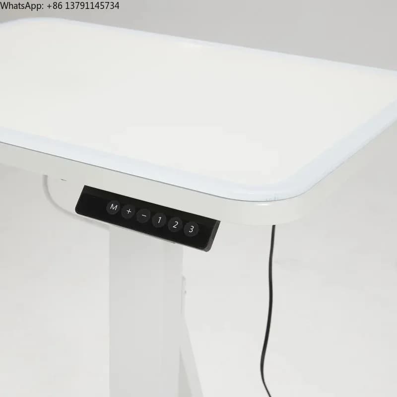 Tavolo Elettrico Sollevabile Luminoso Moderno per Toelettatura Animali Domestici, Attrezzatura per Saloni di Bellezza per Cani e Gatti