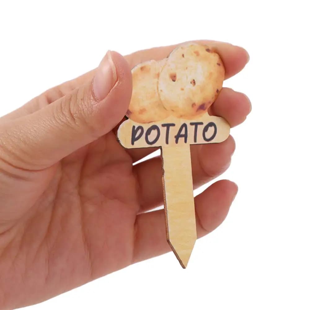 15 Etichette in Legno per Piante, Targhette Riutilizzabili con Motivi Vegetali, Etichette a T per Piante in Vaso da Esterno