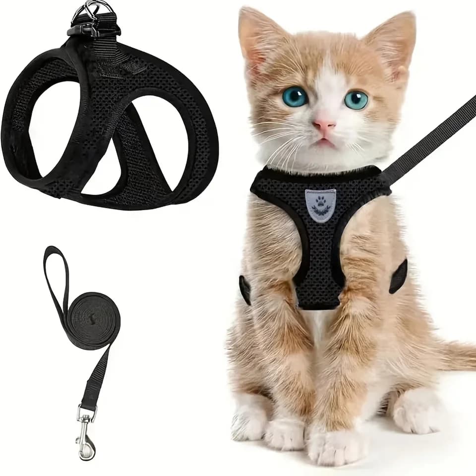 Pettorina Traspirante a Gilet per Animali Domestici e Guinzaglio Ammortizzante, Comoda per Cani e Gatti per Passeggiate all'Aperto