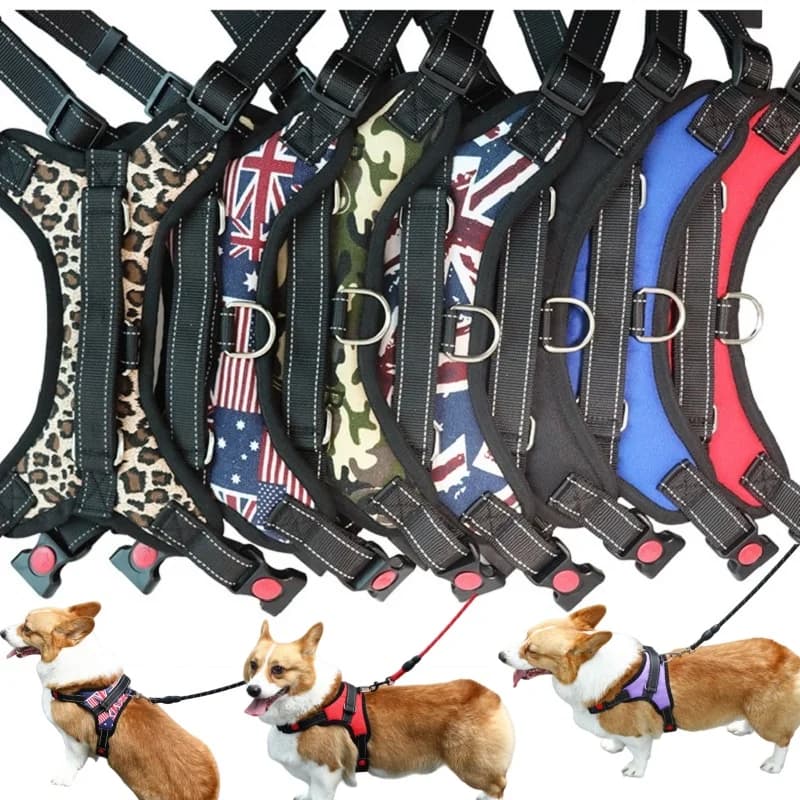 Pettorina per Cani Anti-Trazione, Robusta, per Cani Piccoli, Medi e Grandi, Accessori per Animali Domestici, per Corgi, Chihuahua, Pastore