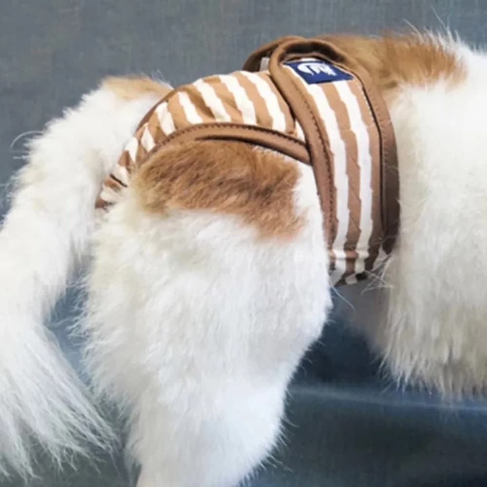 Washable Dog Physiological Pants Soft Elastic Reusable Dog Menstrual Underwear Comfortable Breathable Pet Sanitary Shorts
