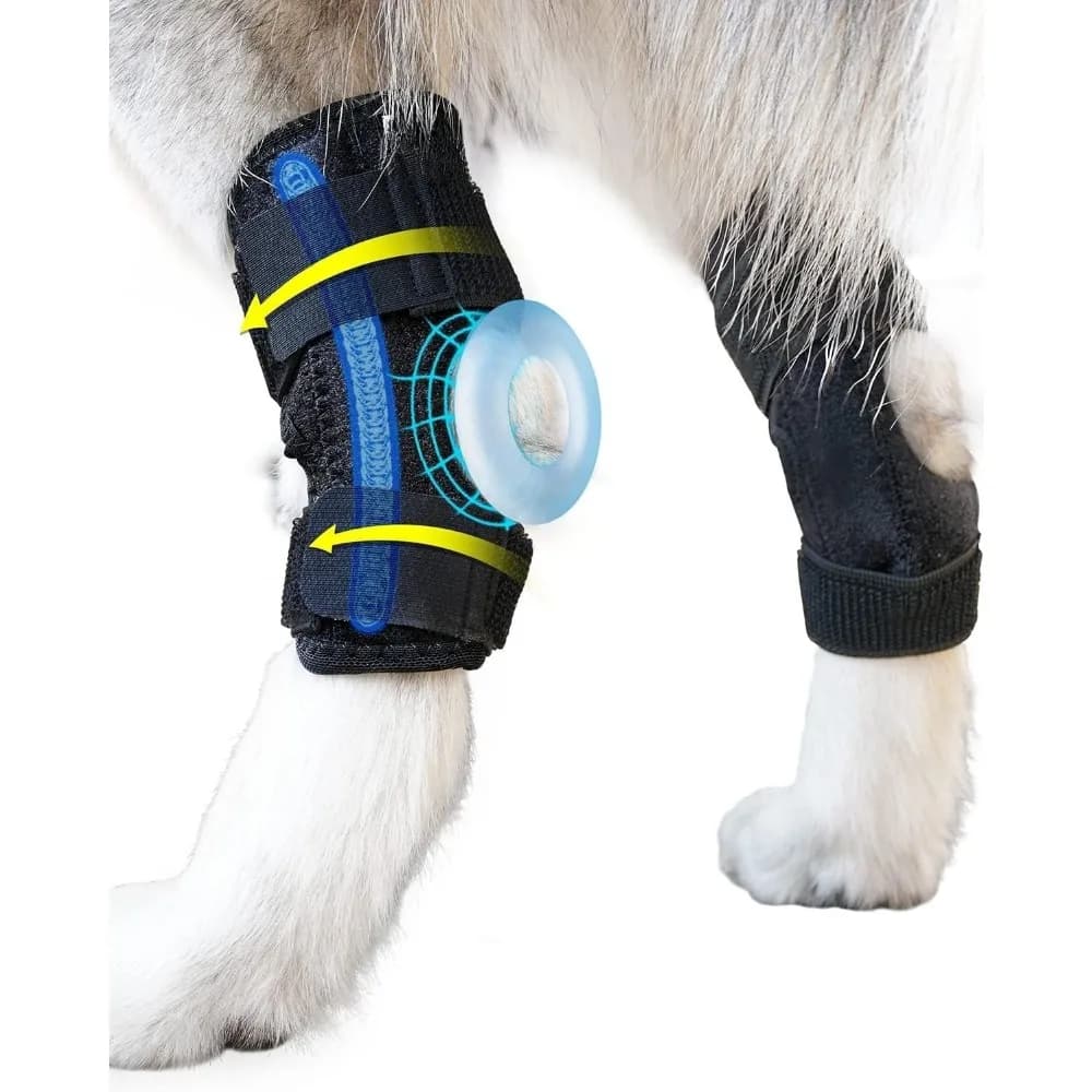 Tutore per gamba di cane per calca e caviglia posteriori, fascia di compressione per articolazione della gamba posteriore canina per cuccioli ACL e CCL strappati, recupero da infortuni alla caviglia e al ginocchio