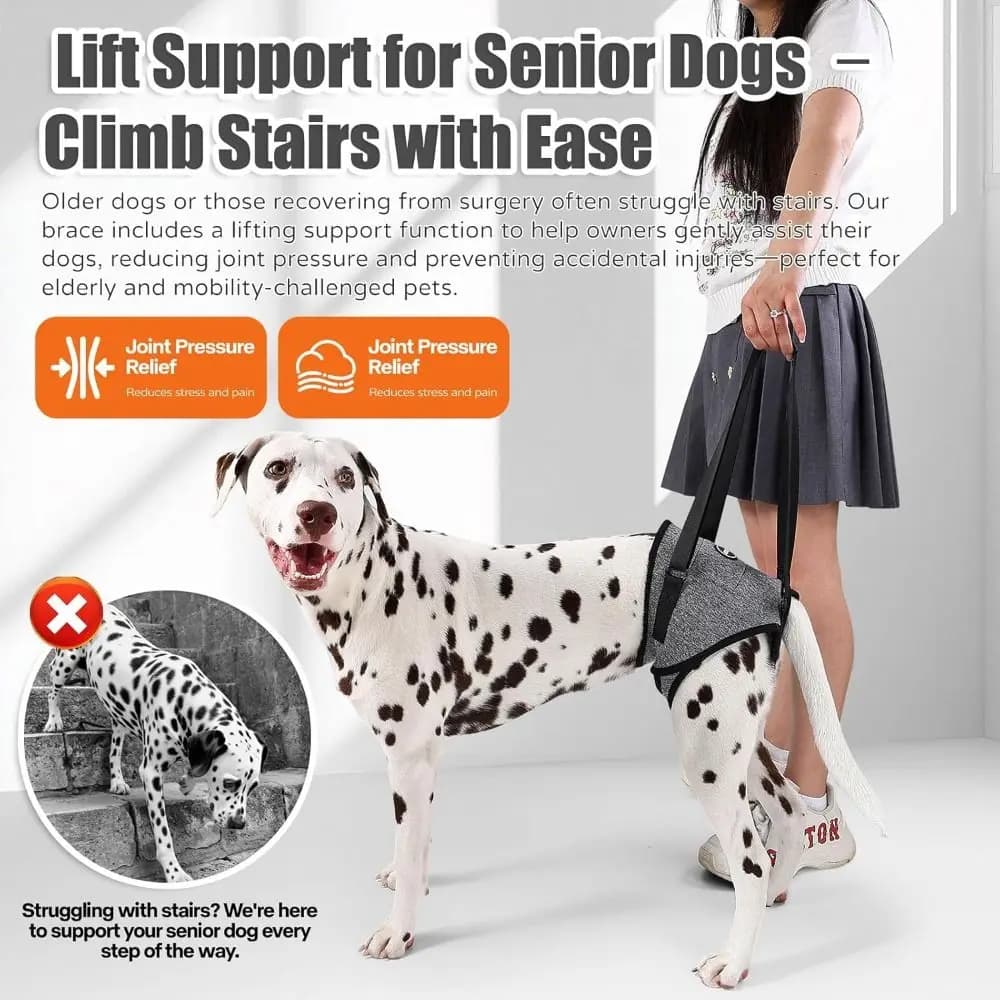 Ginocchiera per cani regolabile, traspirante, durevole, per lesioni, supporto per le gambe posteriori del cane, design riflettente, supporto articolare