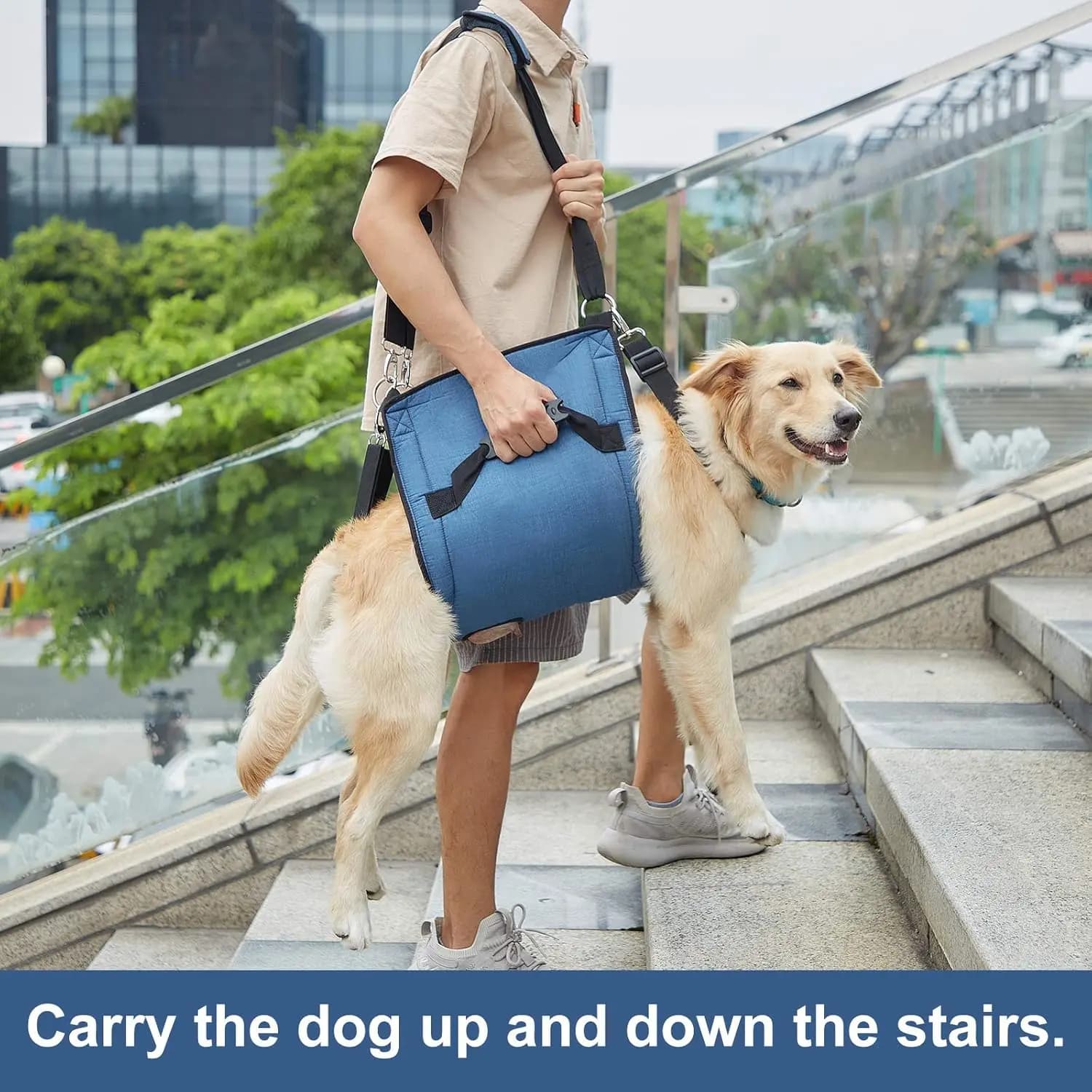 Imbracatura di Supporto per Cani, Zaino di Emergenza per Animali Domestici, Imbracatura di Sollevamento per Cani con Lesioni Articolari e Artrite